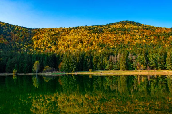 Snímek Podzimní Scenérie Jezera Saint Ann Rumunsku Svěží Barevné Stromy — Stock fotografie