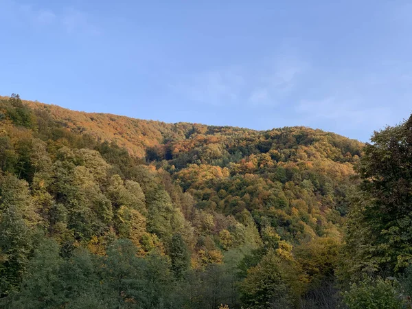 Paisaje Colinas Cubiertas Árboles Con Hojas Colores Bajo Cielo Azul — Foto de Stock