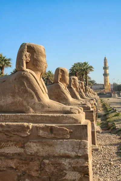 핀스의 Avenue Sphinxes 룩소르 Luxor Temple Egypt 하늘을 — 스톡 사진