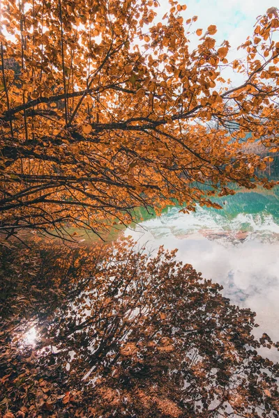 Pionowe Ujęcie Jeziora Lago Tovel Jesienny Dzień — Zdjęcie stockowe