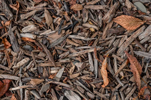 Uma Vista Superior Lascas Madeira Casca Com Folhas Secas Outono — Fotografia de Stock