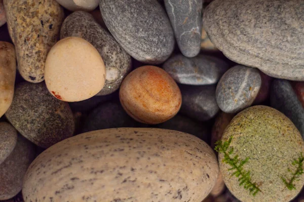 Een Bovenaanzicht Van Kiezelstenen Verschillende Kleuren — Stockfoto