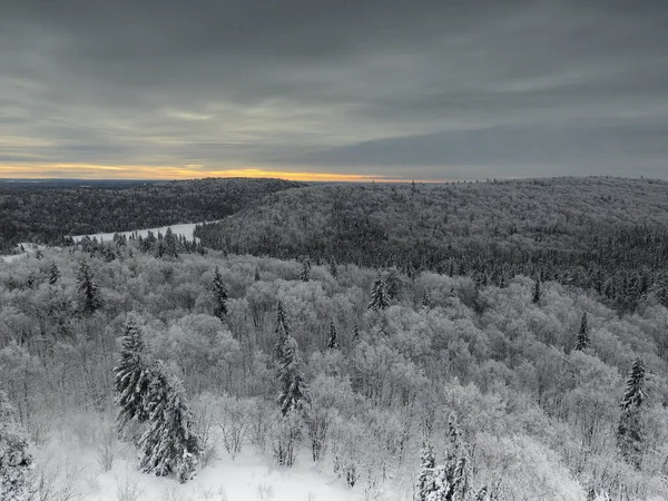 多云的天空下覆盖着积雪的森林景观 非常适合贴墙纸 — 图库照片