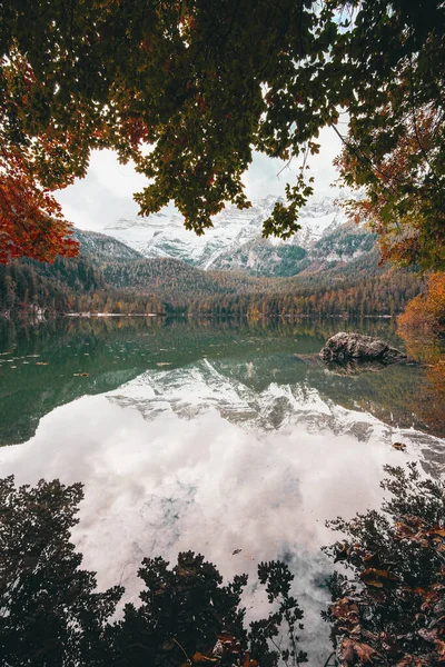 秋季意大利Lago Tovel湖的垂直拍摄 — 图库照片