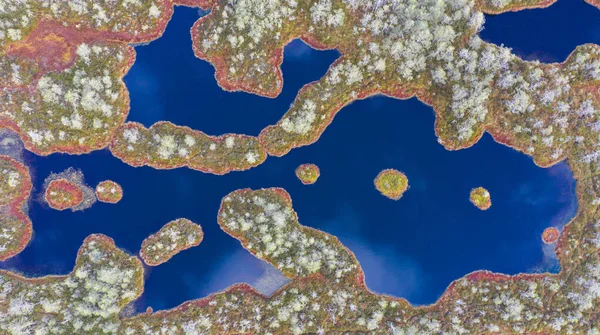 Повітря Зверху Вниз Абстрактний Візерунок Болотних Озер Торфовими Островами — стокове фото