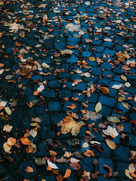 Ein Vertikaler Schuss Trockener Herbstblätter Auf Einem Bürgersteig — Stockfoto