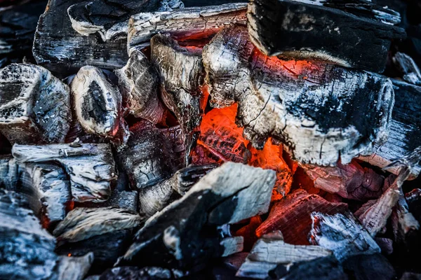 Gorący Ogień Drewna Brzozowego — Zdjęcie stockowe