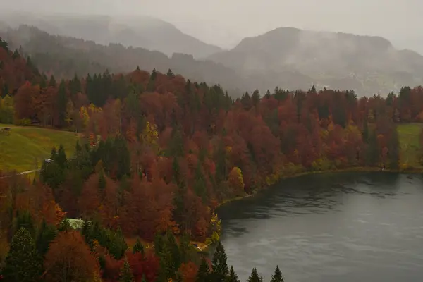 Een Prachtig Shot Van Kleurrijke Herfstbomen Buurt Van Een Meer — Stockfoto