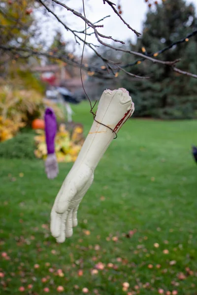 Uno Sparo Verticale Una Figura Mano Insanguinata Appesa Albero Giardino — Foto Stock