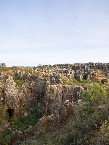 Vertikal Bild Hane Stående Kanjon Cerro Del Hierro Sevilla Spanien — Stockfoto