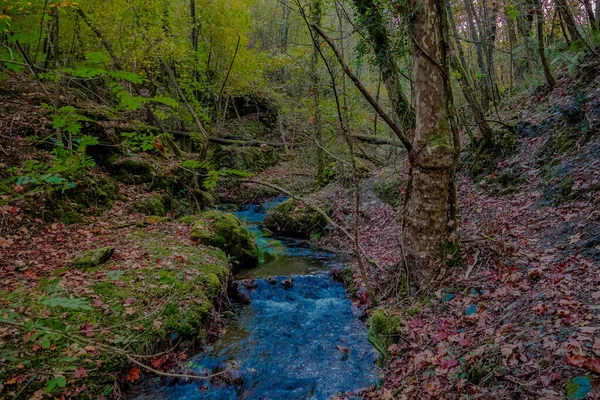 Une Vue Imprenable Sur Rivière Cascade Dans Forêt Capturée Pendant — Photo