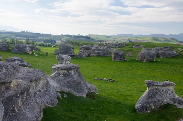 Beautiful View Elephant Rocks New Zealand — Stock Photo, Image