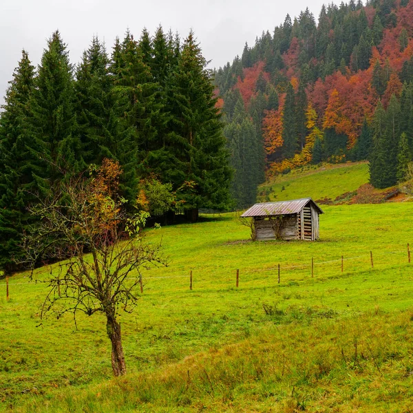 Vedere Unui Hambar Mic Terenul Agricol Copaci Toamnă Ierburi Fundal — Fotografie, imagine de stoc