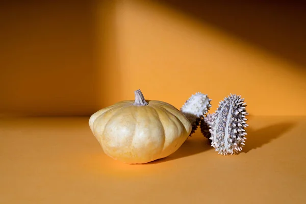 Una Composición Creativa Minimalista Calabazas Diseño Tarjeta Felicitación — Foto de Stock