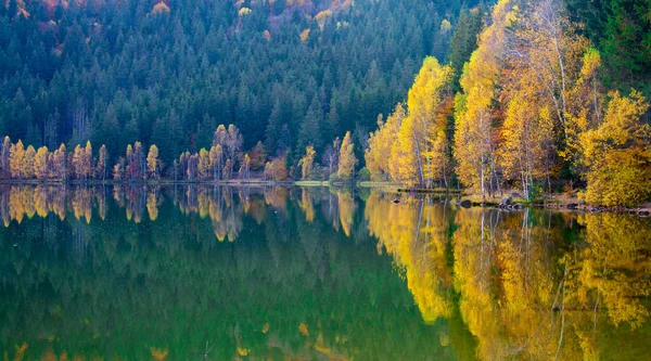 Αντανάκλαση Των Φθινοπωρινών Δέντρων Στη Λίμνη Sfanta Ana Στη Ρουμανία — Φωτογραφία Αρχείου