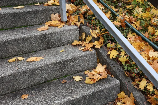 Sonbaharda Merdivenlerin Basamaklarında Sarı Yaprakların Yakın Çekimi Uzanır — Stok fotoğraf