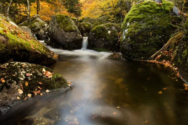 Uma Lagoa Com Uma Pequena Cachoeira Fluindo Para Ela Queda — Fotografia de Stock