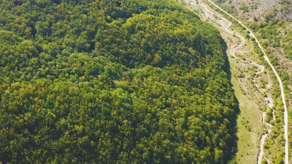 Tiro Aéreo Uma Floresta — Fotografia de Stock