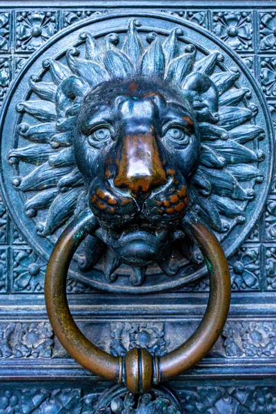 Vertical Closeup Shot Lion Head Front Door Knocker — Stock Photo, Image