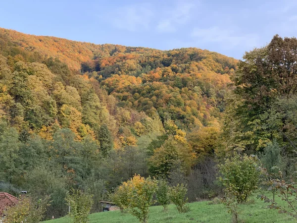 Krajina Kopců Pokrytá Stromy Barevnými Listy Pod Modrou Oblohou Podzim — Stock fotografie
