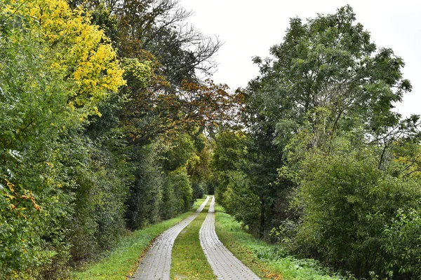 Bel Colpo Una Strada Campagna — Foto Stock