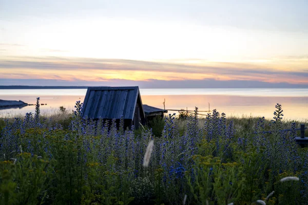 Drewniany Domek Nad Oceanem Dzikimi Kwiatami Wszędzie Podczas Zachodu Słońca — Zdjęcie stockowe