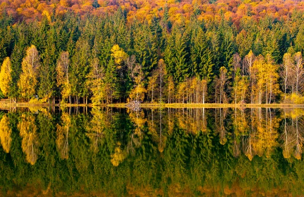Bild Hösten Landskap Sjön Saint Ann Rumänien Grönskande Färgglada Träd — Stockfoto