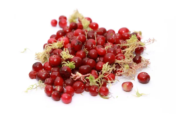Closeup Shot Fresh Red Cranberries Isolated White Background — Stock Photo, Image