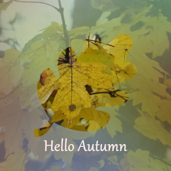 Obrys Listu Nápisem Hello Autumn Rozmazaném Pozadí — Stock fotografie