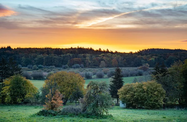 Uma Paisagem Árvores Campo Sob Belo Pôr Sol Dourado — Fotografia de Stock