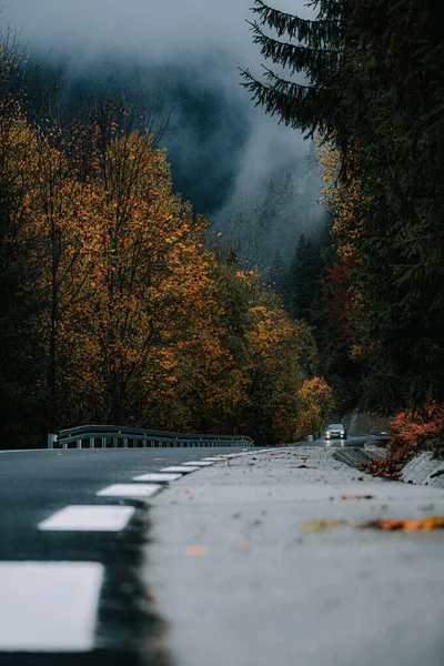 Tiro Vertical Uma Estrada Árvores Coloridas Uma Floresta Outono — Fotografia de Stock