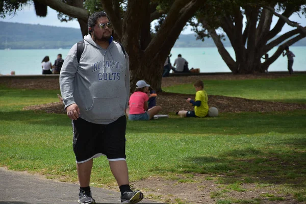 Auckland Nouvelle Zélande Nov 2020 Vue Homme Marchant Sur Sentier — Photo