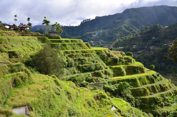 Una Hermosa Vista Banaue Rice Terrazas Luzón Filipinas —  Fotos de Stock