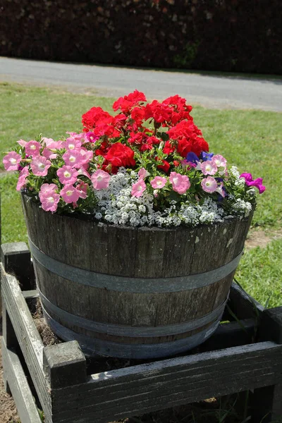 Vertical Shot Barrel Flowers — Stock Photo, Image