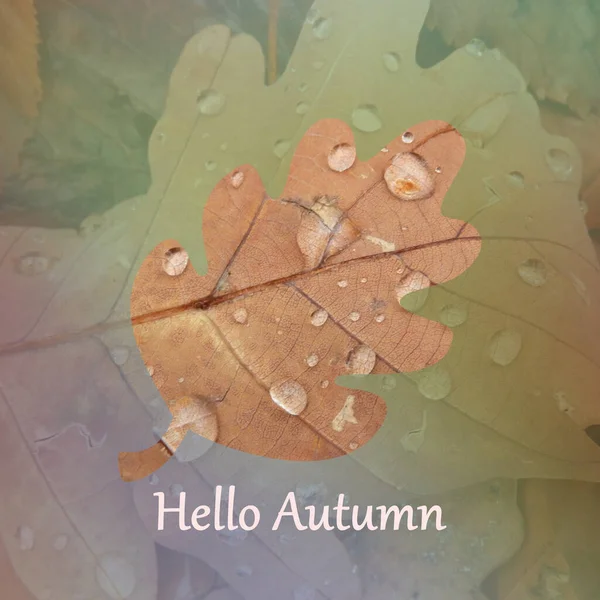 Ένα Περίγραμμα Ενός Φύλλου Ένα Hello Autumn Γραμμένο Ένα Θολό — Φωτογραφία Αρχείου