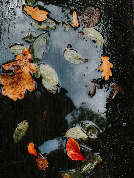 Vertical Shot Dry Autumn Leaves Road Puddle — Stock Photo, Image