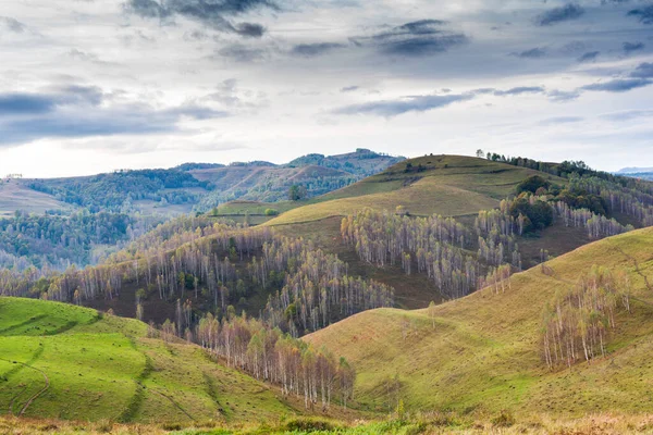 Una Vista Panoramica Delle Montagne Apuseni Sotto Cielo Nuvoloso Romania — Foto Stock