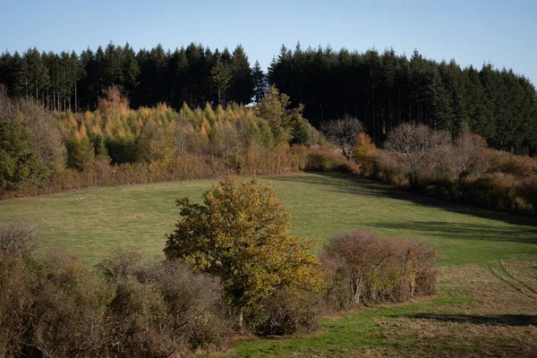 Großer Blick Auf Felder Und Wälder Der Französischen Landschaft — Stockfoto