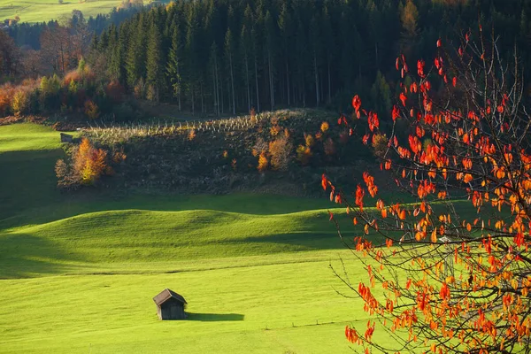 ドイツ オーバーストドルフ近くの小さな小屋の森の美しい秋の風景 — ストック写真