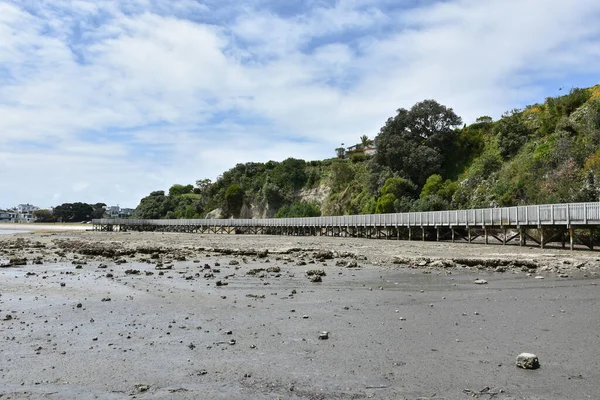 ニュージーランド 多摩川の海岸沿いの細い木道 — ストック写真