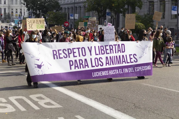 Madrid Spain Nov 2020 Convocatoria Animalista Vegana Madrid Noviembre 2020 — 图库照片