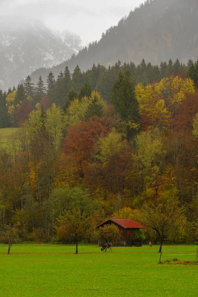 Plan Vertical Une Maison Dans Paysage Avec Des Arbres Automne — Photo