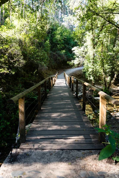 Ett Vertikalt Skott Bro Mitt Dagen Norra Portugal — Stockfoto