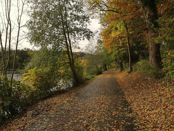 秋に撮影された森の中の湖のそばの道 — ストック写真