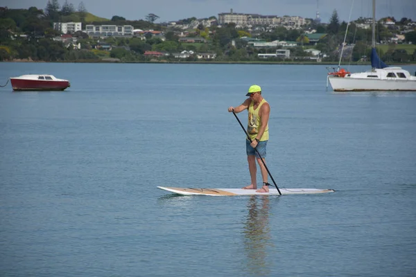 Akuckland New Zealand Nov 2020 View Man Oar Stand Paddle — 스톡 사진