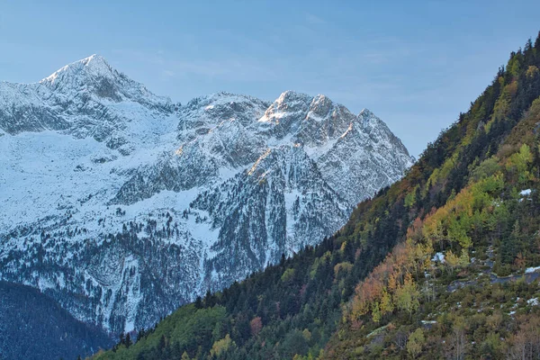 初雪と色と雪の秋のコントラスト — ストック写真