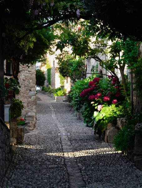 Colpo Verticale Vicolo Con Vecchi Edifici Fiori Tossa Mar Spagna — Foto Stock