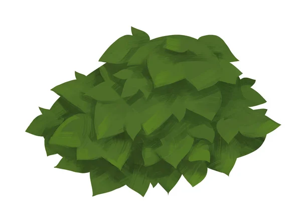 Ręcznie Rysowana Ilustracja Zielonego Krzewu Odizolowanego Białym Tle — Zdjęcie stockowe