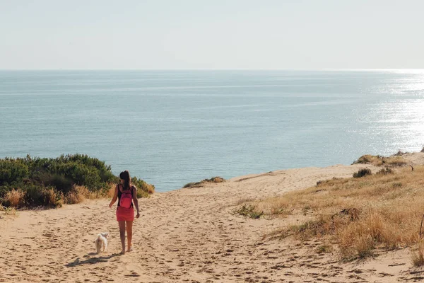 Μια Πίσω Όψη Μιας Γυναίκας Σκυλιά Της Περπατούν Στην Παραλία — Φωτογραφία Αρχείου