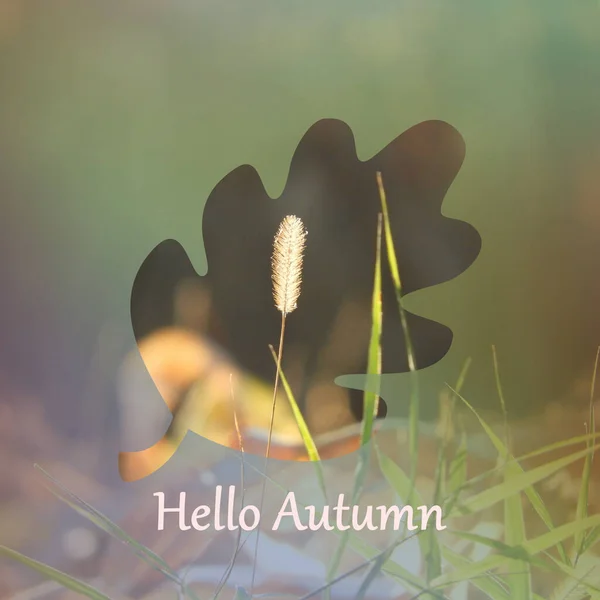 Obrys Listu Nápisem Hello Autumn Rozmazaném Pozadí — Stock fotografie